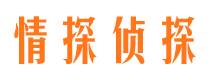 大渡口捉小三公司